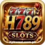 H789 Game