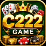 C222 Game